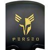 Imagen de Silla Gamer Perseo Pegasus Negro/dorado