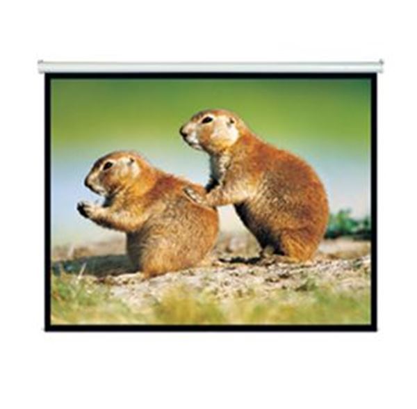 c40d1fd04cd9bd50b4ad13ae564ffc13