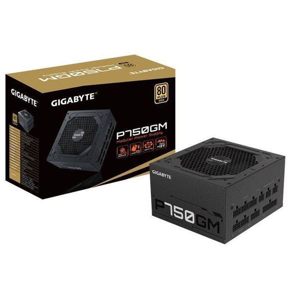 Imagen de Gigabyte P750GM 750w 80 Plus Gold Pcie 4 x 8