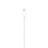Imagen de Cable Lightning A Usb Apple 1m En Caja