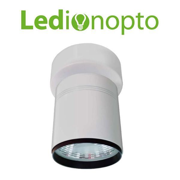 Imagen de Luz led Ledion Blanco Cálido 17W 220 V