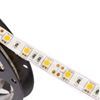 Imagen de Tira Led Edison 5mts Resistente al Agua