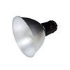 Imagen de Lampara Led Edison con Reflector 150W