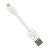 Imagen de Cable Plano Usb a Lightning con Llavero