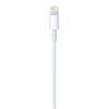 Imagen de Cable Lightning A Usb Apple Mque2zm/a 1m