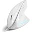 Imagen de Mouse Diestro Ergonómico Usb Perixx 513 Blanco