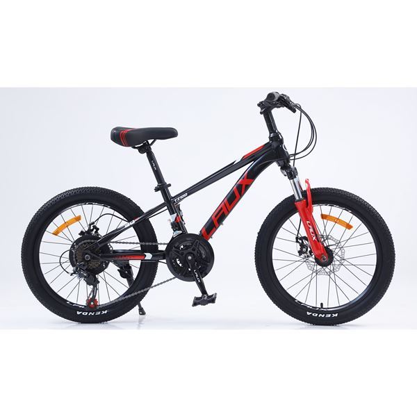 Imagen de Bicicleta Para Niño Laux Tz100 21V Rodado 20