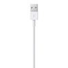 Imagen de Cable Lightning A Usb Apple 1m Reatil En Caja