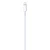 Imagen de Cable De Carga Usb C A Lightning Apple 96w 1m