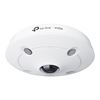 Imagen de Cámara De Seguridad Tp-Link S655I Ip67/Ik10 Audio Bidireccional