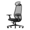 Imagen de Silla de Escritorio Ergonómica Ajustable 360°/130° ProtoArc Ec200