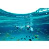 Imagen de Kit Buceo Aqua Lung Smart Snorkel Talle S