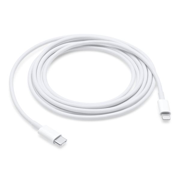 Imagen de Cable De Carga Usb C A Lighting Apple 96w 2m