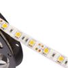 Imagen de Tira Led Edison 5mts Resistente al Agua