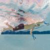 Imagen de Enganches de Mano Junior Forearm Fulcrum Finis