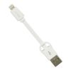 Imagen de Cable Plano Usb a Lightning con Llavero