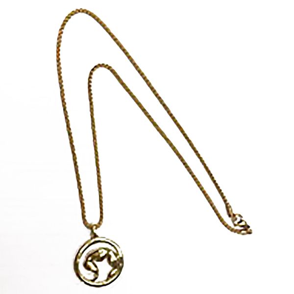 Imagen de Marketing Collar Marvo Br-01