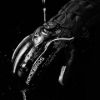 Imagen de Guantes De Invierno Rockbros Antideslizantes Xl