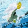 Imagen de Paletas Flotantes Natación Finis Manta Paddles M