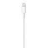 Imagen de Cable Lightning A Usb Apple Mque2zm/a 1m
