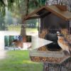 Imagen de Comedero Para Pájaros Con Estuche Para Cámara Wasserstein