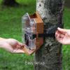 Imagen de Comedero Para Pájaros Con Estuche Para Cámara Wasserstein