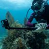 Imagen de Vara de Extensión GoPro 1,2 Metros Agxtm-001