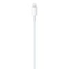 Imagen de Cable De Carga Usb C A Lighting Apple 96w 2m