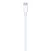 Imagen de Cable De Carga Usb C A Lighting Apple 96w 2m