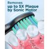 Imagen de Cepillo De Dientes Eléctrico Rtauys M5 Sonic 41000vpm