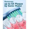 Imagen de Cepillo De Dientes Eléctrico Rtauys M5 Sonic 41000vpm
