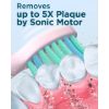 Imagen de Cepillo De Dientes Eléctrico Rtauys M5 Sonic 41000vpm
