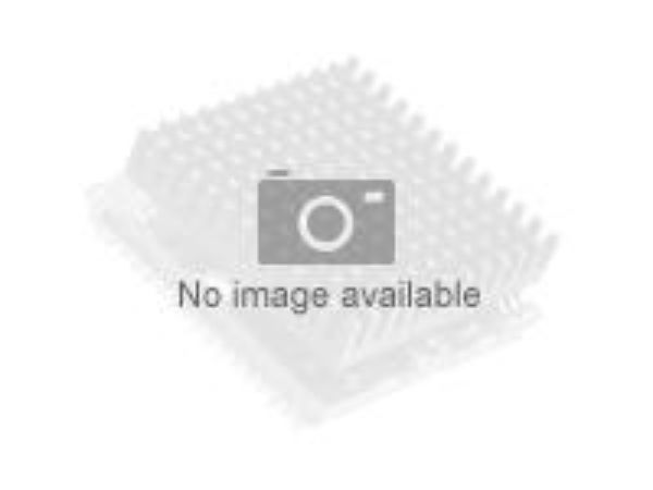 Imagen de Intel Core i9 i9-14900F - 2 GHz - 24 núcleos - 32 hilos - 36 MB caché - FCLGA1700 Socket - Caja