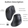 Imagen de Ugreen Mouse Vertical Inalámbrico Bt 5.0 + 2.4G