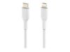 Imagen de Belkin BOOST CHARGE - Cable Lightning - USB-C (M) a Lightning (M) - 1 m - blanco - suministro de potencia USB (18W) - para Apple iPad/iPhone/iPod (Lightning)